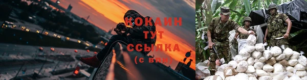 тгк Горняк