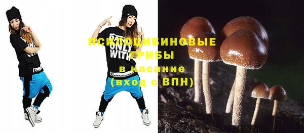 дмт Горно-Алтайск