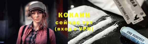 дмт Горно-Алтайск