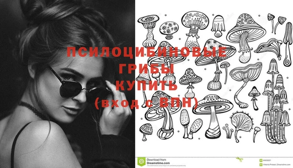 амф Горнозаводск
