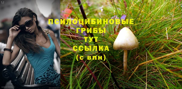 тгк Горняк