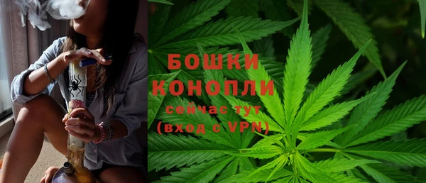 амф Горнозаводск