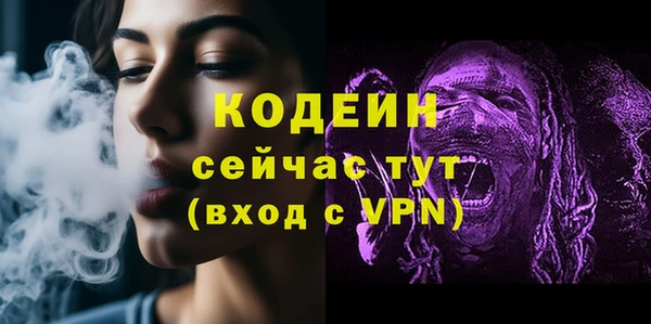 дмт Горно-Алтайск