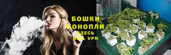 амф Горнозаводск