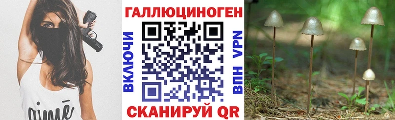 закладки  Дивногорск  Псилоцибиновые грибы GOLDEN TEACHER 